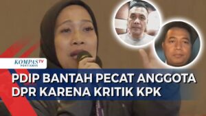 Pecat Anggota DPR Terpilih Tia Rahmania, PDIP Bantah akibat Kritik Pimpinan KPK Nurul Ghufron